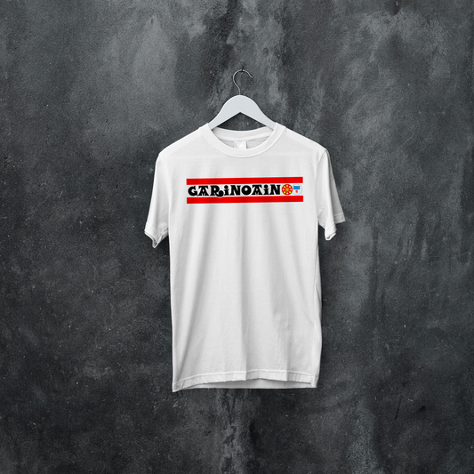 Garinoain- Camiseta clásica de fiestas